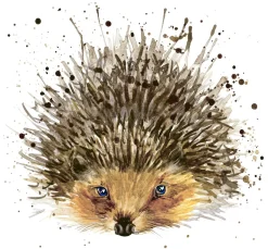 Paper+Design Herbst|Serviettentechnik>Serviette "Igel"