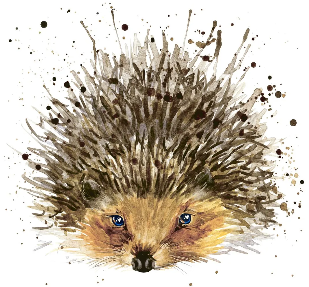 Paper+Design Herbst|Serviettentechnik>Serviette "Igel"