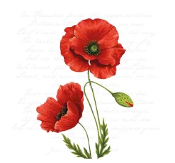Ambiente Sommer|Serviettentechnik>Serviette "Leuchtender Klatschmohn"