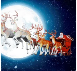 Paper+Design Weihnachten|Serviettentechnik>Serviette "Lunar Xmas"