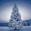 Paper+Design Winter|Serviettentechnik>Serviette "Magic Tree"