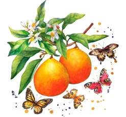 Paper+Design Sommer|Alltäglich>Serviette "Schmetterlinge & Orangen"
