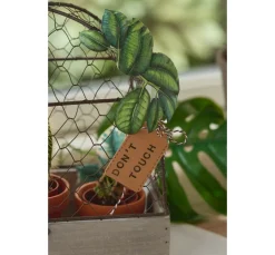Ambiente Sommer|Alltäglich><noscript><img width=