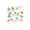Ambiente Frühling|Serviettentechnik>Serviette "Vogel-Treffen"
