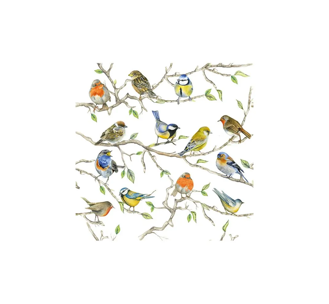 Ambiente Frühling|Serviettentechnik>Serviette "Vogel-Treffen"