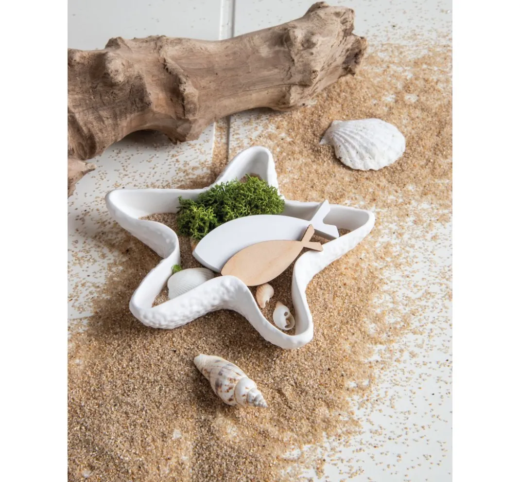 Rayher Gieß-Sets|Sets>Silikon Gießform "Seestern & Muscheln"