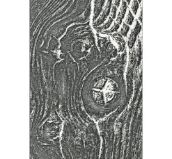 Sizzix Stanz- & Prägemaschinen|Schablonen>3D-Prägeschablone "Woodgrain by Tim Holtz"