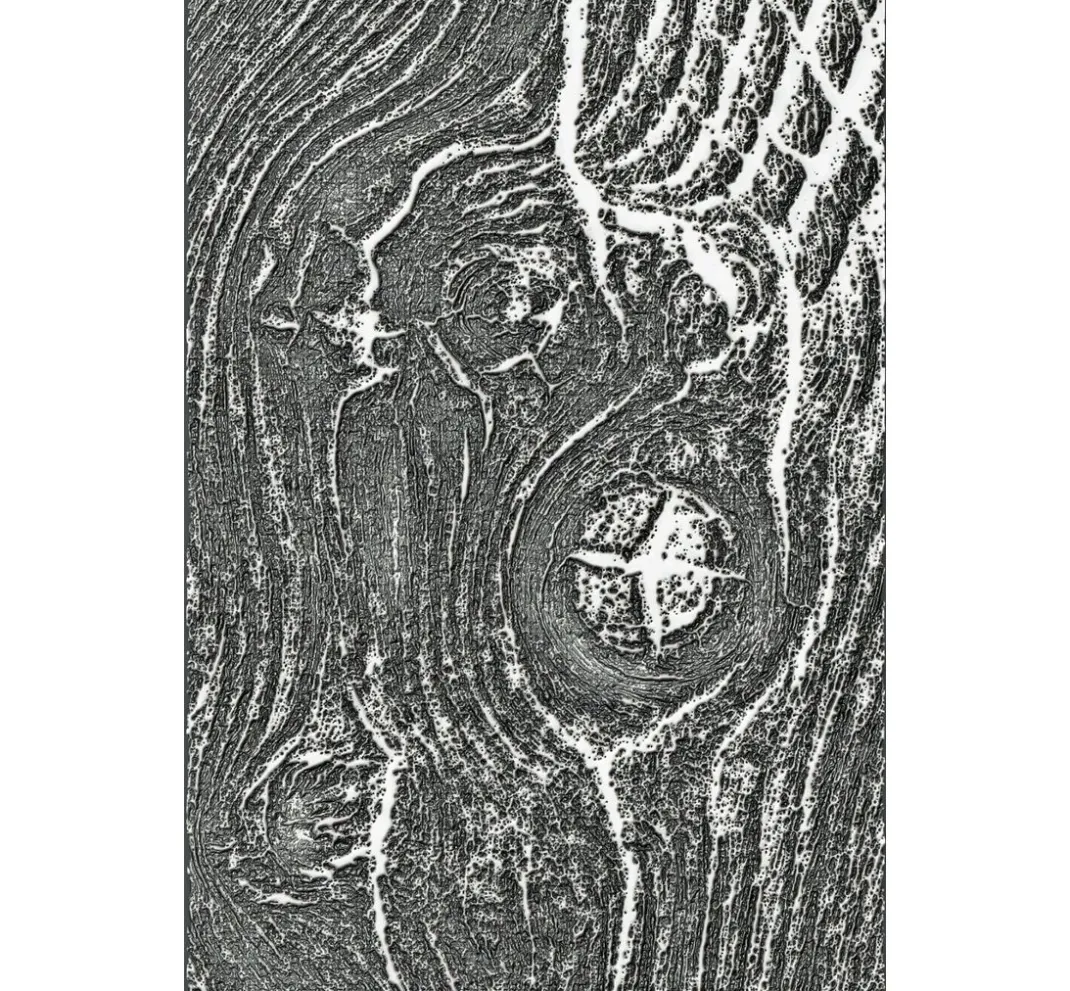 Sizzix Stanz- & Prägemaschinen|Schablonen>3D-Prägeschablone "Woodgrain by Tim Holtz"