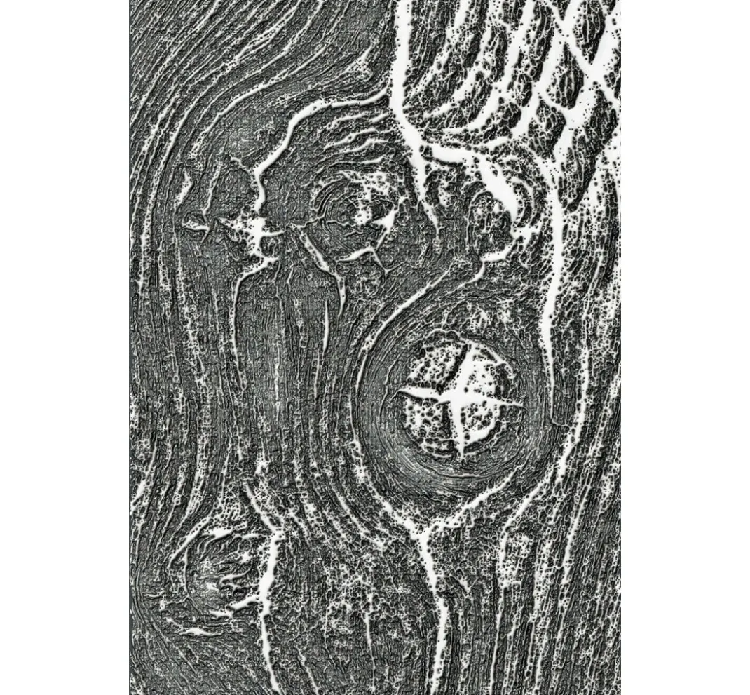 Sizzix Stanz- & Prägemaschinen|Schablonen>3D-Prägeschablone "Woodgrain by Tim Holtz"