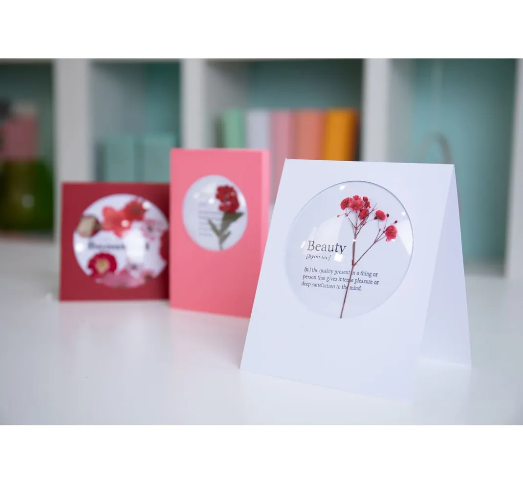 Sizzix Weiteres|Stanz- & Prägemaschinen>Shaker Domes "Rund"
