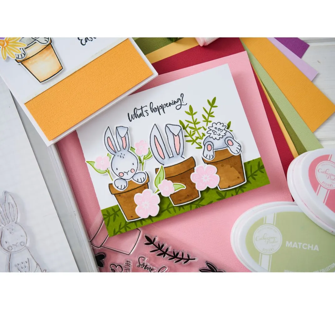 Sizzix Stanz- & Prägemaschinen|Schablonen>Thinlits Stanzschablone by Catherine Pooler