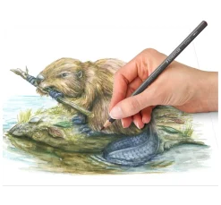 STAEDTLER Aquarell|Farbsets><noscript><img width=