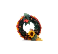 VBS Trockenblumen & - Früchte|Blumen><noscript><img width=