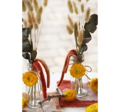 VBS Trockenblumen & - Früchte|Blumen><noscript><img width=