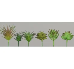 DPI Blumen>Sukkulenten Mix