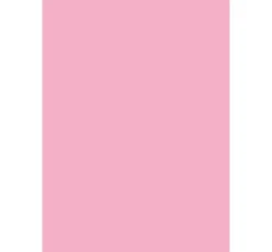 VBS Tonpapier & Fotokarton><noscript><img width=