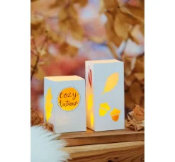 folia Laterne Basteln|Transparentpapier><noscript><img width=