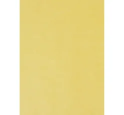 folia Laterne Basteln|Transparentpapier><noscript><img width=