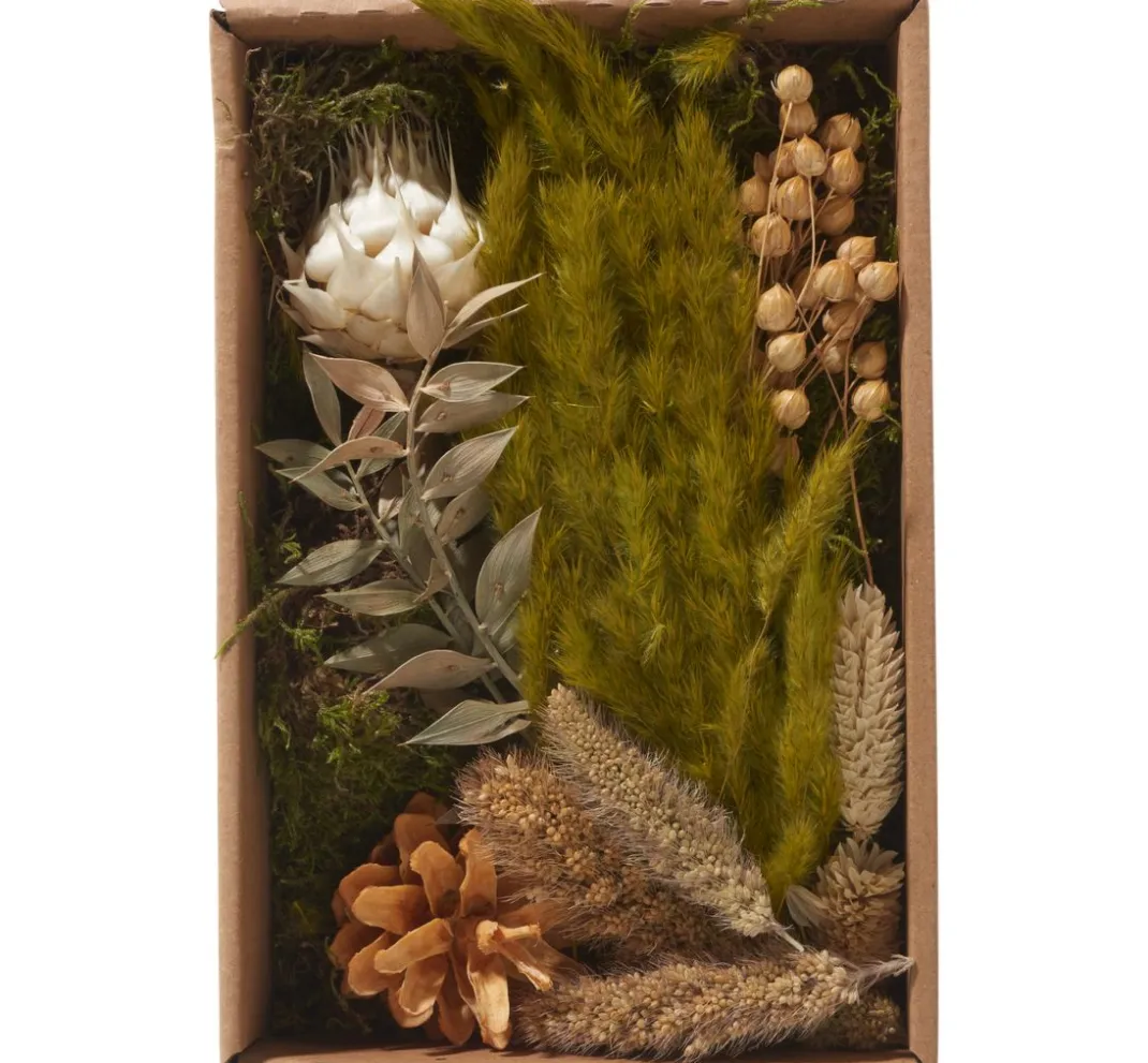 Othmar Decorations Trockenblumen & - Früchte|Naturmaterialien>Trockenblüten Potpourri Set "Natural"