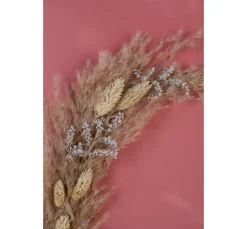 Othmar Decorations Trockenblumen & - Früchte><noscript><img width=