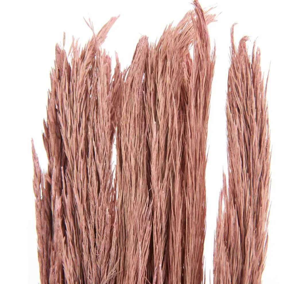 Othmar Decorations Trockenblumen & - Früchte>Trockenblumen "Sanmuga Grass"