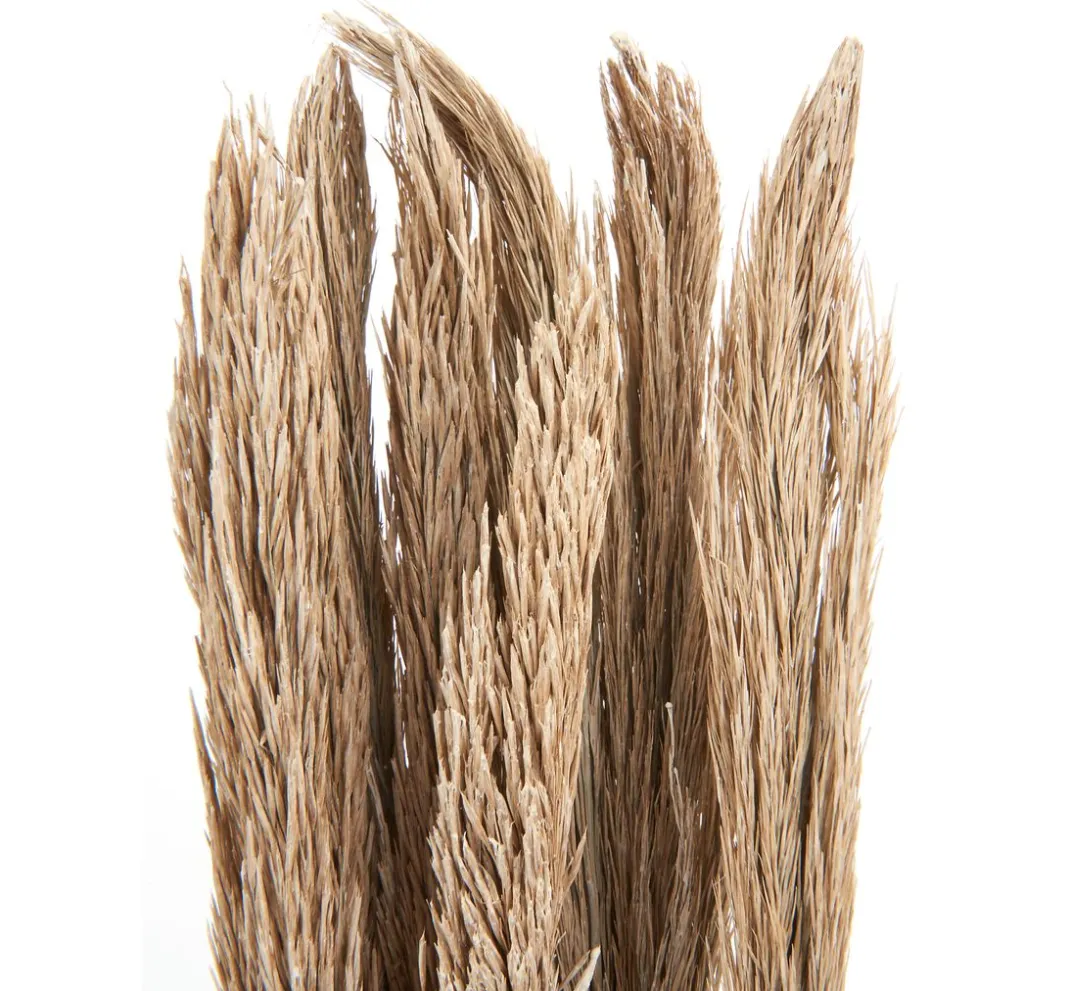 Othmar Decorations Trockenblumen & - Früchte>Trockenblumen "Sanmuga Grass"