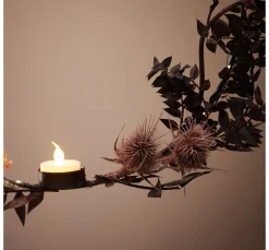 Othmar Decorations Trockenblumen & - Früchte><noscript><img width=