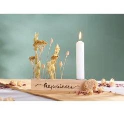 Othmar Decorations Trockenblumen & - Früchte><noscript><img width=