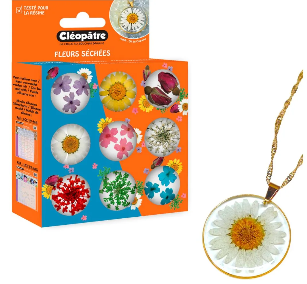 Cléopâtre Schmuck Gießen|Trockenblumen & - Früchte>Trockenblumen Sortiment, 9 Tiegel