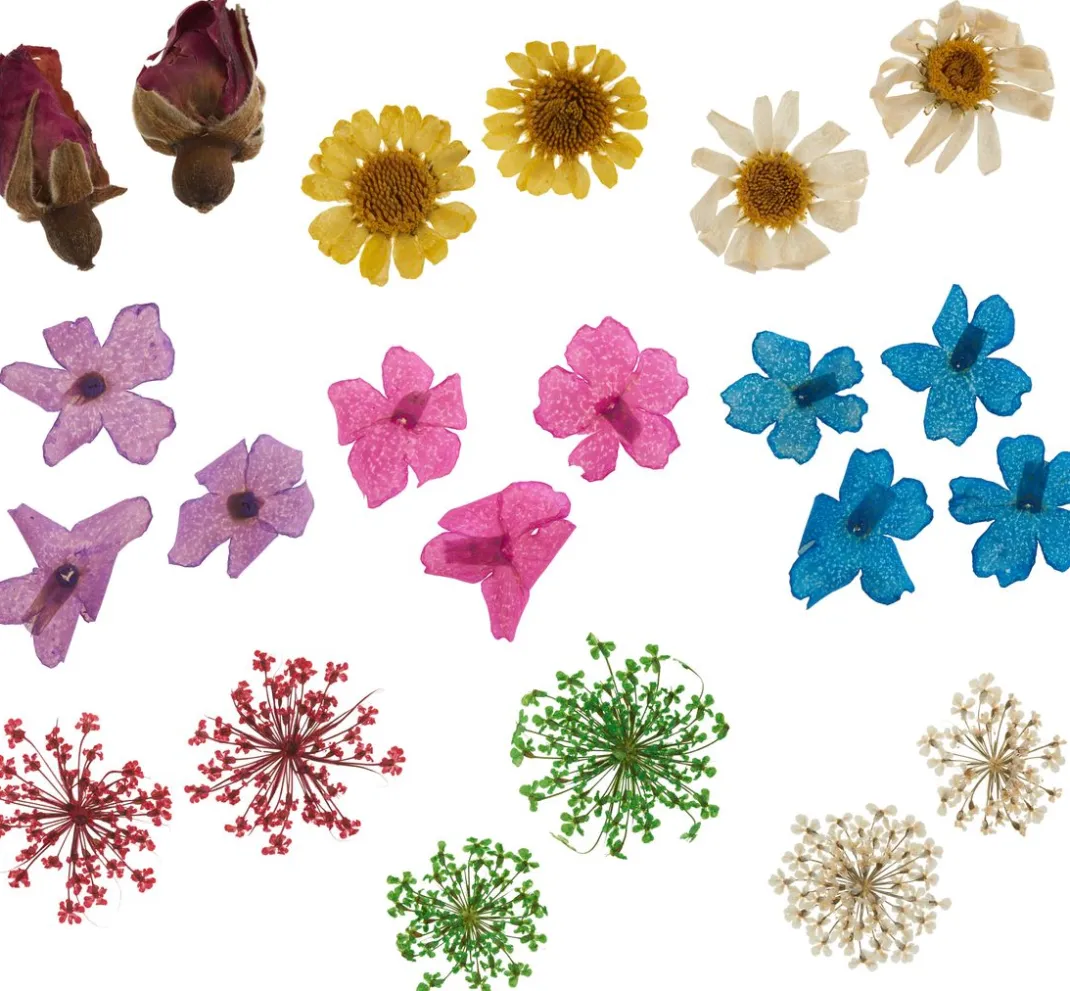 Cléopâtre Schmuck Gießen|Trockenblumen & - Früchte>Trockenblumen Sortiment, 9 Tiegel