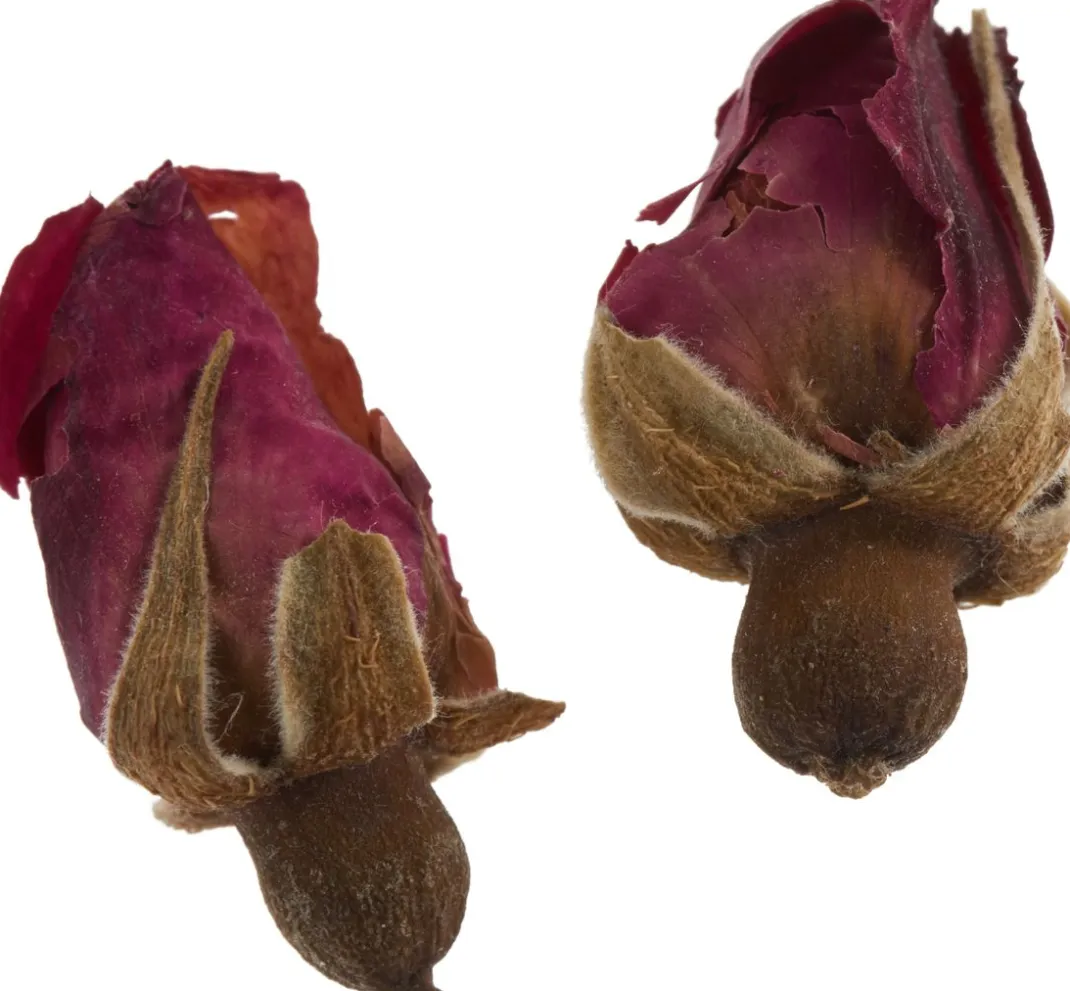 Cléopâtre Schmuck Gießen|Trockenblumen & - Früchte>Trockenblumen Sortiment, 9 Tiegel