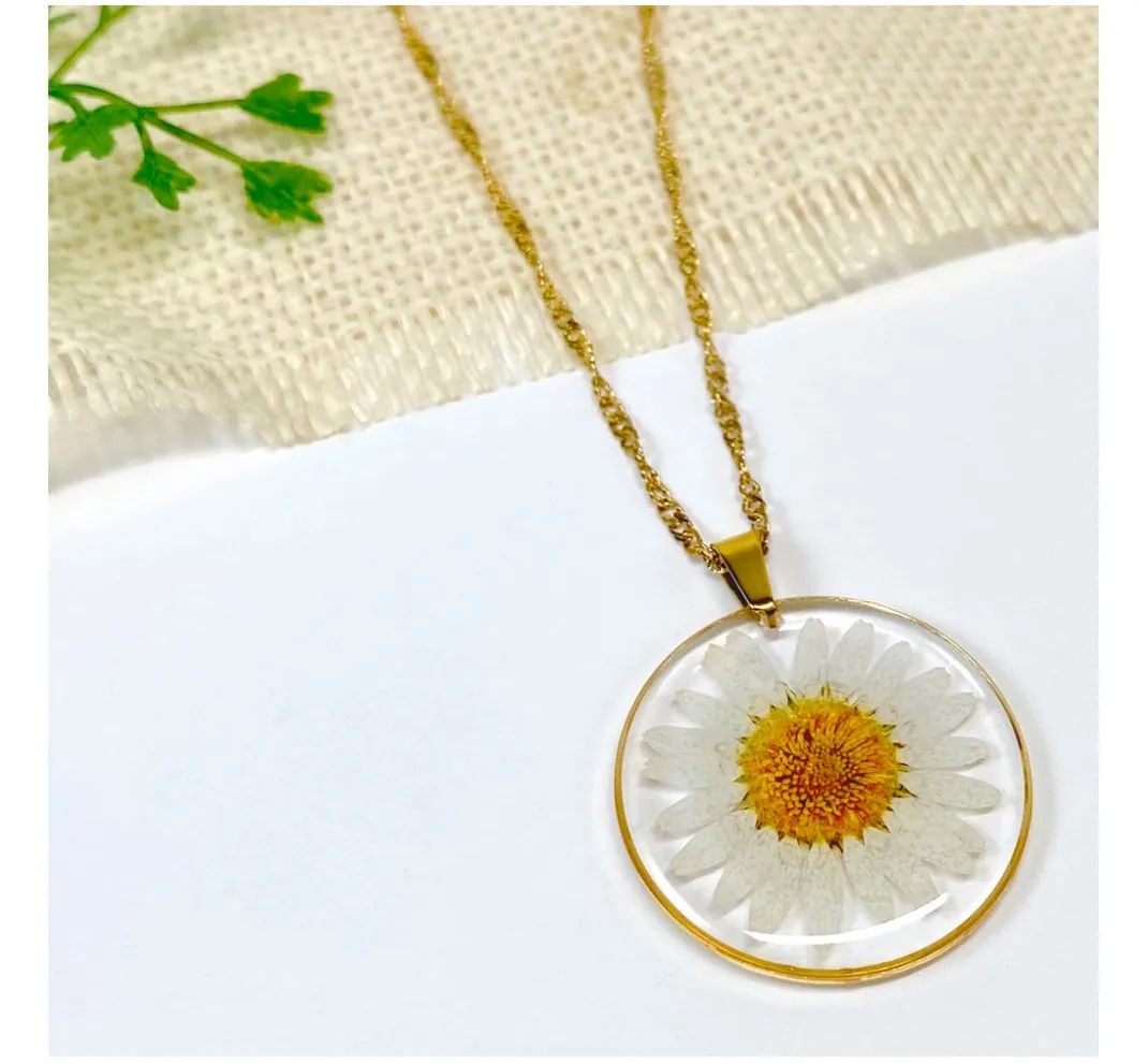 Cléopâtre Schmuck Gießen|Trockenblumen & - Früchte>Trockenblumen Sortiment, 9 Tiegel
