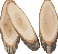 VBS Rindenartikel|Brandmalerei>Baumscheiben "Oval"