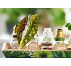 VBS XXL Glas- & Porzellanmalerei|Glasgravur><noscript><img width=