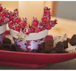 VBS XXL Gräser & Beeren><noscript><img width=