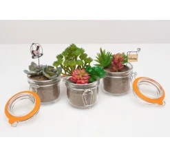 VBS Naturkosmetik|Glas- & Porzellanmalerei><noscript><img width=