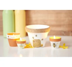 VBS Naturkosmetik|Glas- & Porzellanmalerei><noscript><img width=