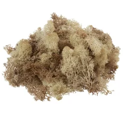 VBS Krippen-Zubehör|Moos>Islandmoos, 100 g