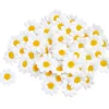 VBS Blumen|Streuteile>Margeritenblüten, 50 Stück