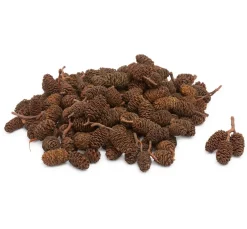 VBS Zapfen|Naturmaterialien>Minizapfen,natur