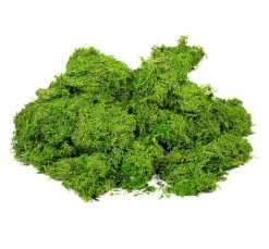 VBS XXL Moos|Moos>VBS Moos, 1 kg