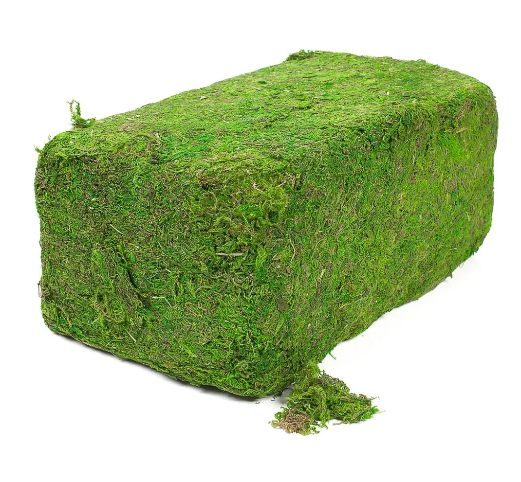 VBS XXL Moos|Moos>VBS Moos, 1 kg