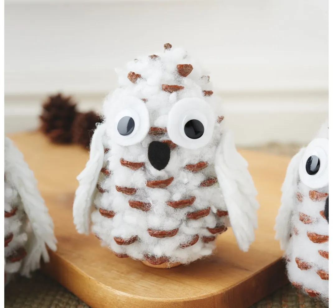 VBS Zapfen|Naturmaterialien>Pinienzapfen, 3 Stück