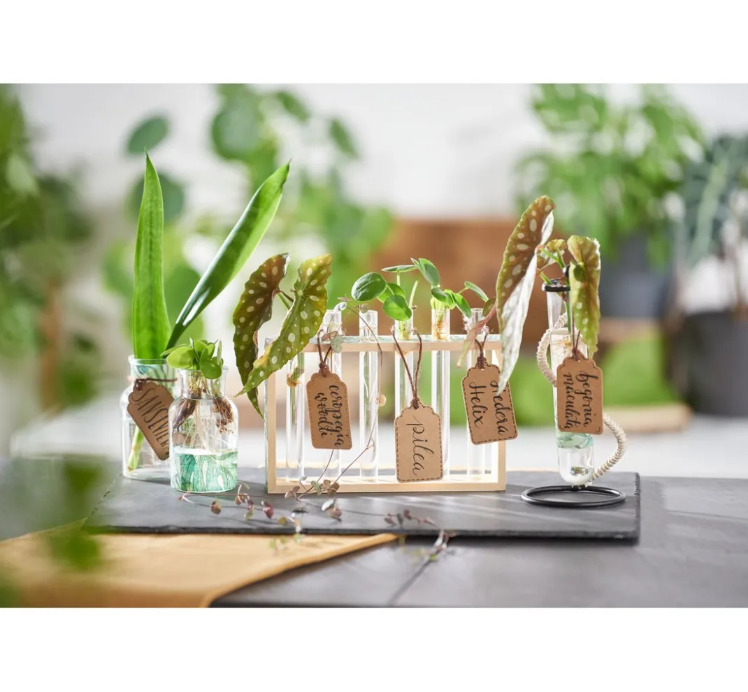 VBS Gefäße|Glas- & Porzellanmalerei>Reagenzglashalter "Vase"