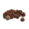 VBS Naturmaterialien|Zapfen>Tannenzapfen, 250 g