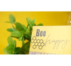 Kinder VBS Papier|Tonpapier & Fotokarton><noscript><img width=