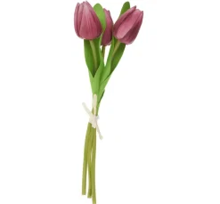 VBS Blumen>Tulpe "Tammie"