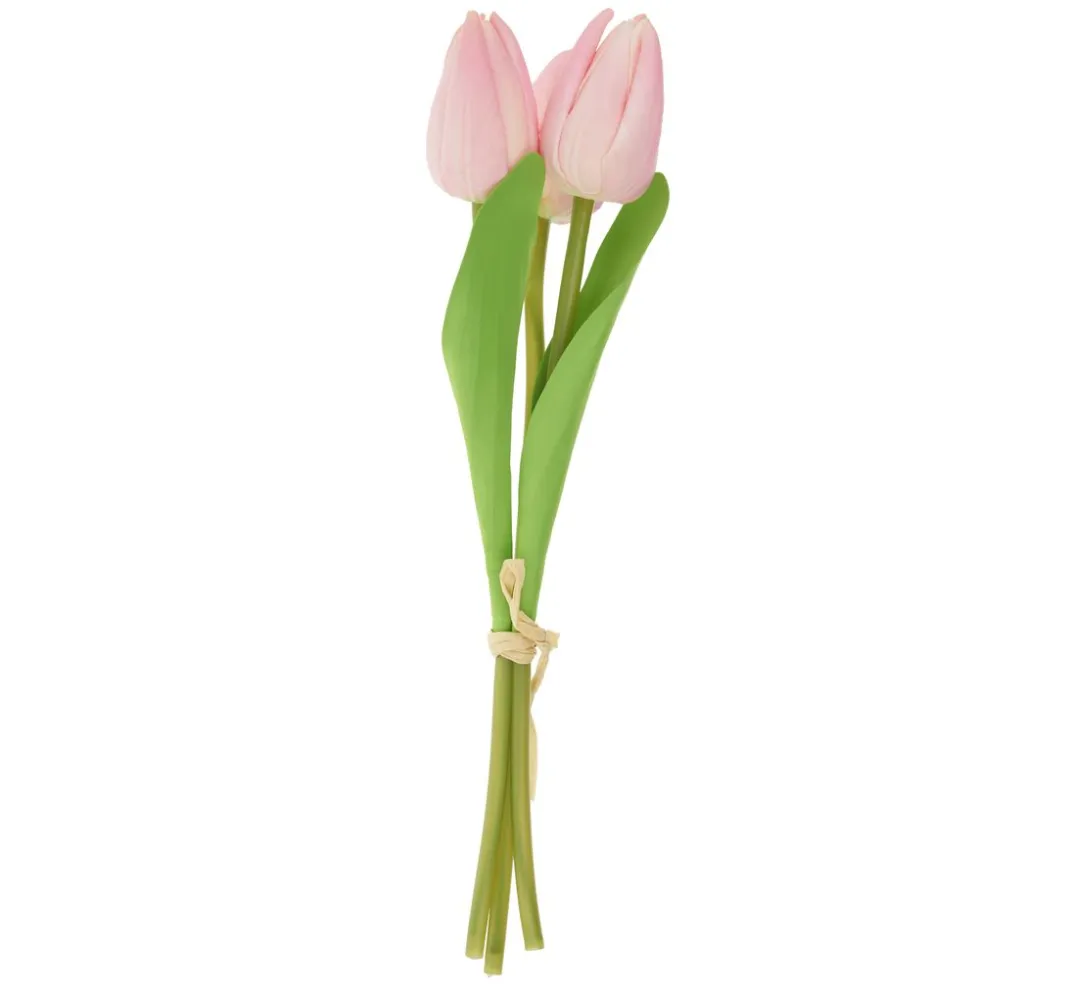 VBS Blumen>Tulpe "Tammie"