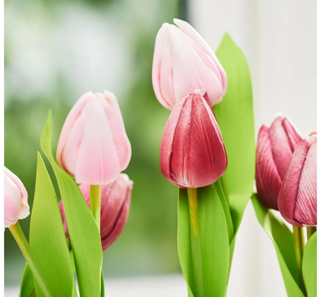 VBS Blumen>Tulpe "Tammie"
