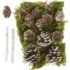 VBS Naturmaterialien>Wald Potpourri-Mix